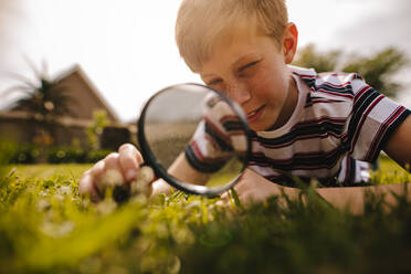 Junge schaut an einem sonnigen Tag durch ein Vergrößerungsglas. Junge erkundet Garten mit Vergrößerungsglas. - JLPSF23632