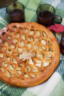 Herbstblatt auf frischem Apfelkuchen liegend - ONAF00193