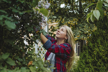 Frau mit blondem Haar, die eine Pflanze im Garten untersucht - MDOF00169