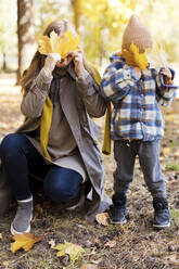 Mutter und Sohn bedecken ihre Augen mit gelben Ahornblättern im Park - ONAF00221