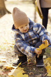 Niedlicher Junge sammelt gelbe Blätter im Park auf - ONAF00224