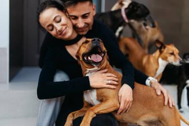 Young couple smiling happily while embracing one of their dogs at home. Two affectionate pet owners spending quality time with their adorable dogs. Couple sitting on the porch with their pets. - JLPSF24911