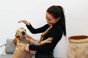 Happy young woman smiling cheerfully while stroking her playful dog at home. Loving pet owner bonding and spending some quality time with her dogs indoors. - JLPSF24914