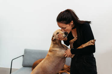 Liebevolle junge Frau, die einem ihrer Hunde zu Hause einen Kuss gibt. Liebevolle Haustierbesitzerin, die mit ihren Hunden im Haus eine schöne Zeit verbringt. - JLPSF24915