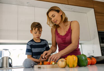 Mother helping son cutting fresh vegetables in kitchen. Woman with little boy cooking food at home. - JLPSF26040