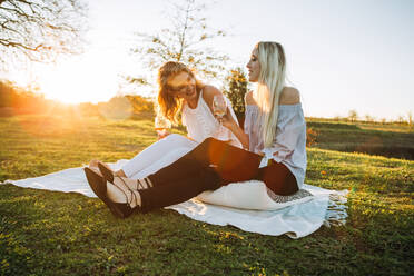 Beautiful women drinking wine in the park on a sunny day. Friends and summer concept. - JLPSF26054