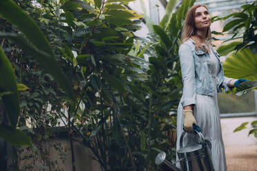 Woman gardener standing in plant nursery holding a watering can. Young woman working in greenhouse. - JLPSF26331