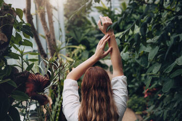 Rear view of young female model standing inside plant nursery. Woman in greenhouse with arms raised. - JLPSF26334