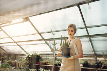 Schöne junge Frau in einer Gärtnerei, die einen Kaktus hält. Gärtnerin arbeitet im Gewächshaus. - JLPSF26341