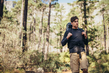 Wanderer, der durch einen Wald wandert. Ein Mann, der die Natur erkundet, geht durch den Wald. - JLPSF26457