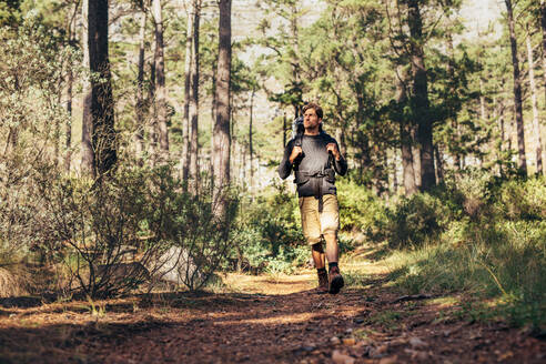 Wanderer auf dem Pfad in einem Wald. Ein Mann erkundet die Natur bei einem Spaziergang durch den Wald. - JLPSF26459