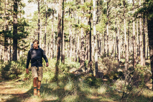 Wanderer auf dem Pfad in einem Wald. Ein Mann erkundet die Natur bei einem Spaziergang durch den Wald. - JLPSF26461