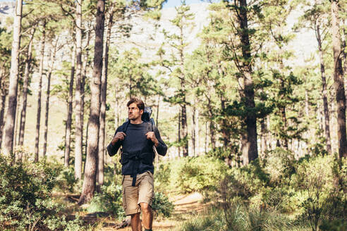 Wanderer auf dem Pfad in einem Wald. Ein Mann erkundet die Natur bei einem Spaziergang durch den Wald. - JLPSF26463