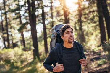 Wanderer auf dem Pfad in einem Wald. Ein Mann erkundet die Natur bei einem Spaziergang durch den Wald. - JLPSF26464
