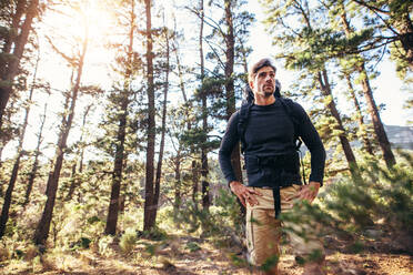 Wanderer auf dem Pfad in einem Wald. Ein Mann erkundet die Natur bei einem Spaziergang durch den Wald. - JLPSF26466