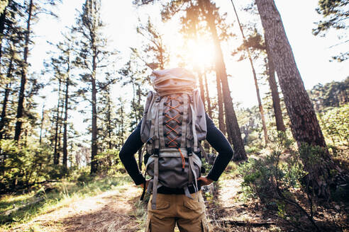 Mann mit Wanderrucksack auf einem Waldweg. Rückansicht eines Mannes, der im Wald wandert und eine Abenteuertasche trägt. - JLPSF26467