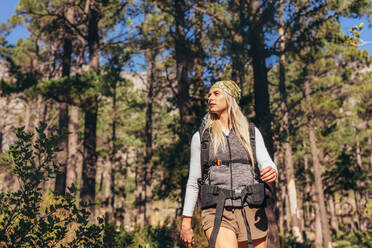 Frau wandert in einem Wald und erkundet die Natur bei einem Spaziergang durch den Wald. - JLPSF26468