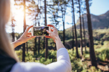 Frau fotografiert mit einem Mobiltelefon im Wald. Wanderer beim Fotografieren von Waldszenen. - JLPSF26471