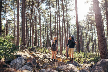 Mann und Frau wandern auf einem felsigen Pfad im Wald. Wandererpaar erkundet die Natur bei einem Spaziergang durch den Wald. - JLPSF26475