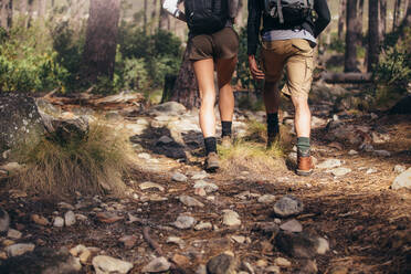 Rückansicht eines Mannes und einer Frau, die auf einem felsigen Pfad im Wald wandern. Ein Wandererpaar, das die Natur erkundet und durch den Wald geht. - JLPSF26488