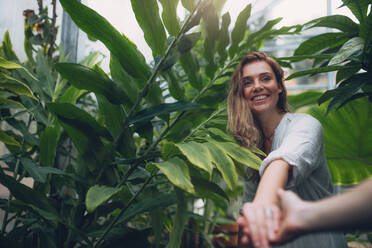 Lächelnde junge Frau, die die Hand ihres Freundes hält. POV-Aufnahme eines Paares im tropischen botanischen Garten. - JLPSF26513