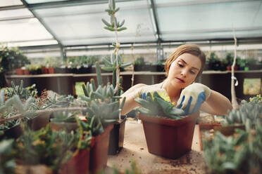 Gärtnerin pflanzt Kaktus in einem Topf im Gewächshaus. Arbeiterin arbeitet im Gartencenter. - JLPSF26527