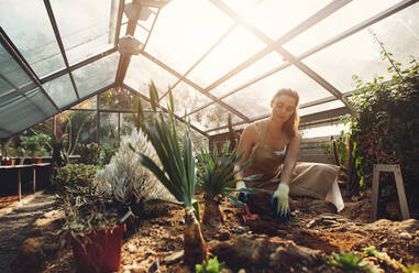 Young woman working in a greenhouse. Female worker planting seedlings in plant nursery. - JLPSF26531