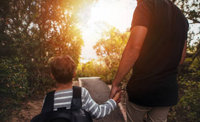 Rückansicht von Vater und Sohn, die im Freien durch Bäume spazieren gehen. Kleiner Junge mit Mann, der sich an den Händen hält und auf einem Weg im Park spazieren geht. - JLPSF26725