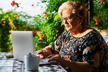 Concentrated elderly lady in casual outfit and eyeglasses sitting in chair at table while surfing on netbook near cup on saucer and green plants with flowers in yard in daylight - ADSF39952