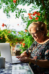 Positive elderly lady in casual outfit and eyeglasses sitting in chair at table while surfing on netbook near cup on saucer and green plants with flowers in yard in daylight - ADSF39953