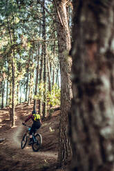 Rückenansicht eines Menschen mit Rucksack auf dem Fahrrad auf einem Weg zwischen Bäumen auf einem Hügel im Wald - ADSF39963