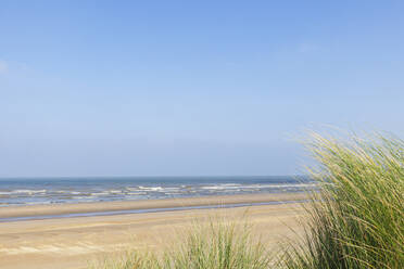 Belgium, West Flanders, Sandy beach with clear line of horizon over North Sea in background - GWF07636