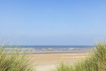 Belgien, Westflandern, Sandstrand mit klarer Horizontlinie über der Nordsee im Hintergrund - GWF07637