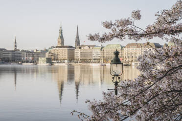 Deutschland, Hamburg, Binnenalster im Frühling mit Straßenlaterne und Kirschblütenzweigen im Vordergrund - KEBF02472