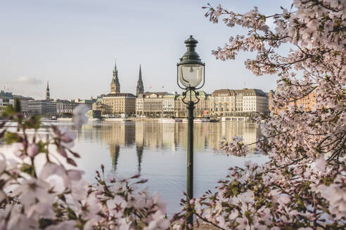 Germany, Hamburg, Inner Alster Lake in spring with street light and cherry blossom branches in foreground - KEBF02473