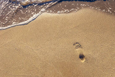 Einzelner Fußabdruck auf Strandsand - SMAF02336