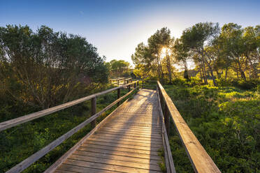 Spanien, Balearen, Menorca, Uferpromenade im Naturpark S'Albufera bei Sonnenuntergang - SMAF02342
