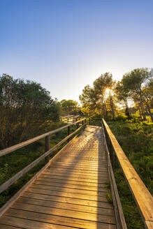 Spanien, Balearen, Menorca, Uferpromenade im Naturpark S'Albufera bei Sonnenuntergang - SMAF02343