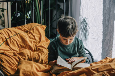 Cute boy reading book on bed at home - VSNF00078