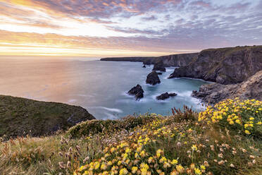 UK, England, Clifftop view of Bedruthan Steps at sunset - WPEF06675