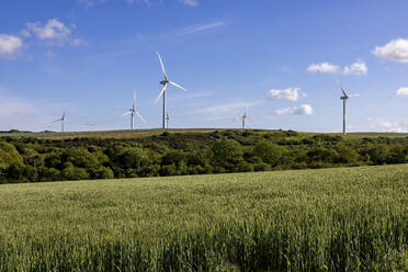 UK, England, Green field in summer with wind farm in background - WPEF06678