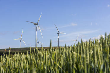 UK, England, Wind farm turbines in summer with field grass in foreground - WPEF06679