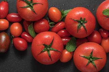 Nahaufnahme von reifen Tomaten zusammen mit Minze auf schwarzem Hintergrund. Große und kleine Tomaten zusammen auf einem Tisch platziert. - JLPSF27353