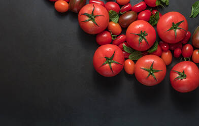 Reife Tomaten zusammen mit Minze auf schwarzem Hintergrund. Große und kleine Tomaten zusammen auf einem Tisch platziert. - JLPSF27354