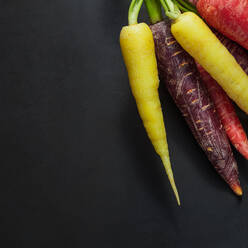 Closeup of colorful carrots and radishes on black background. - JLPSF27363