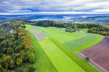 Deutschland, Baden-Württemberg, Drohnenansicht der grünen Landschaft des Wieslauftals - STSF03601