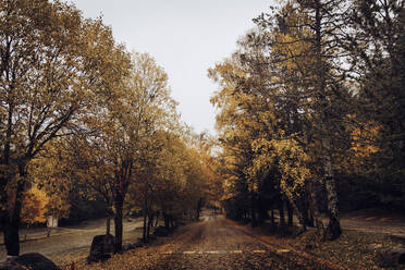 Spain, Catalonia, Empty mountain road in autumn - ACPF01509