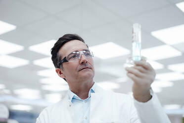 Chemist analyzing test tube in laboratory - JOSEF14563