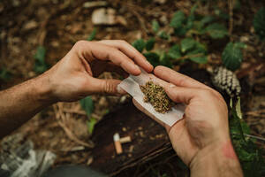 Hände eines jungen Mannes, der im Wald einen Joint mit Marihuana dreht - ACPF01518