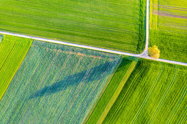 Germany, Baden-Wurttemberg, Drone view of green fields in Swabian Alb - STSF03619